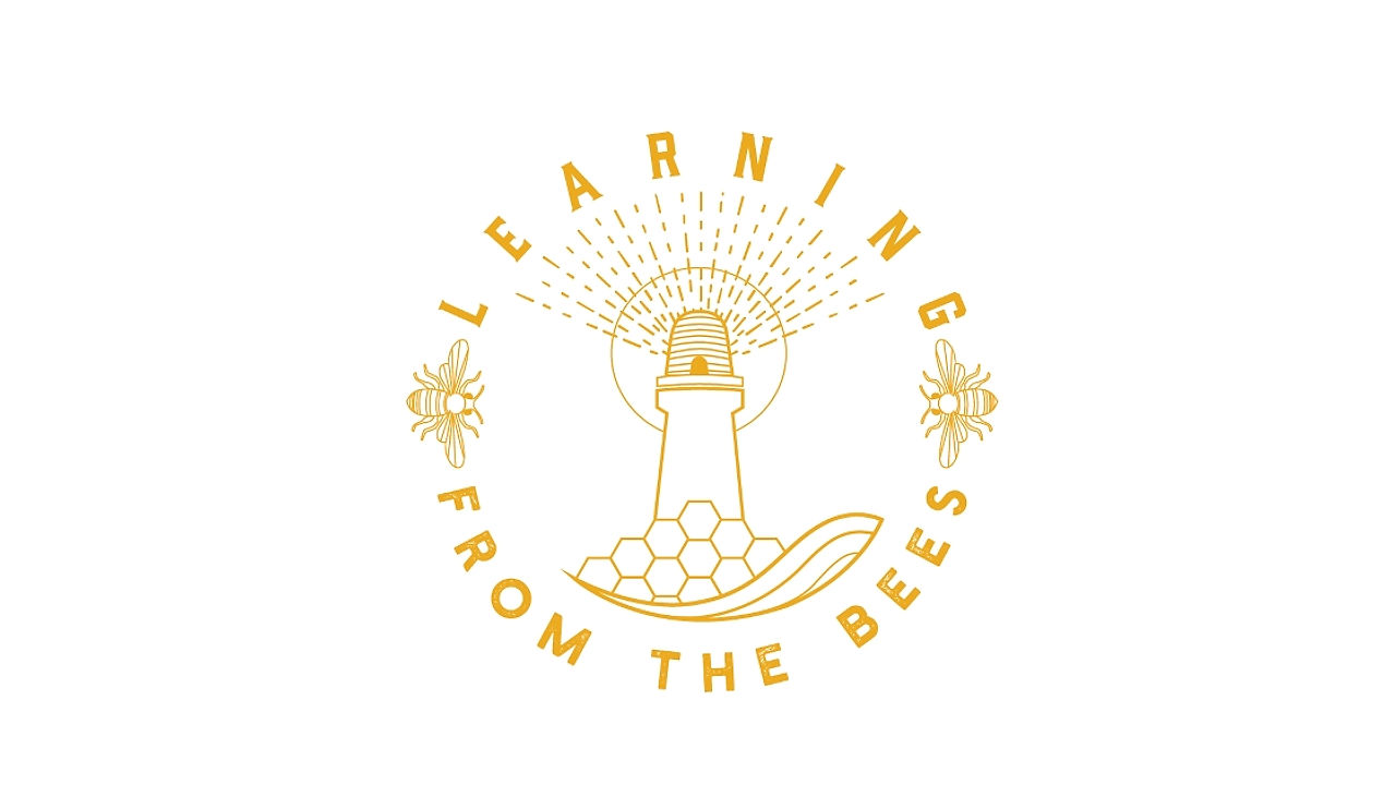Learning from the Bees